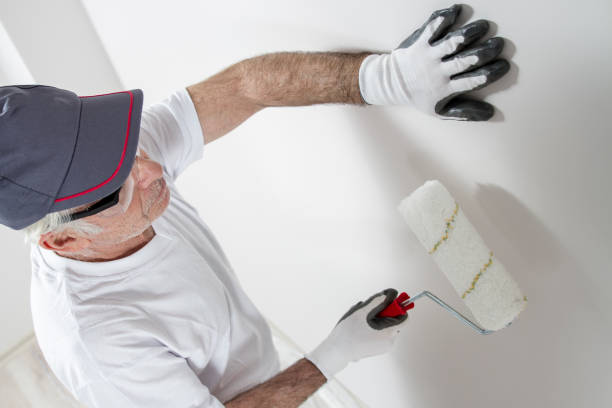 Best Industrial Mold Remediation  in Petersburg, IL