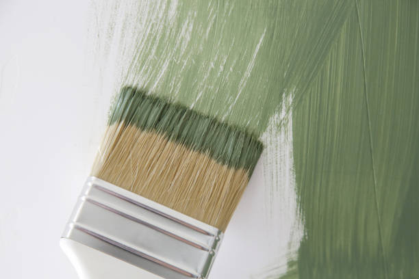 Best Mold Odor Removal Services  in Petersburg, IL