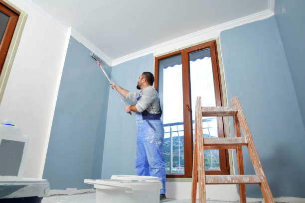 Best Mold Remediation for Healthcare Facilities  in Petersburg, IL