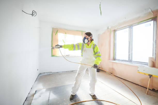 Best Crawl Space Mold Remediation  in Petersburg, IL