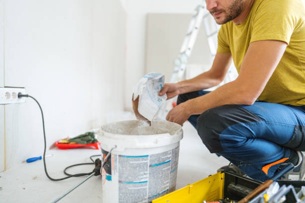 Mold Remediation for Vacation Homes in Petersburg, IL