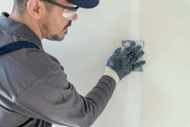 Best Comprehensive Air Testing for Mold Contaminants  in Petersburg, IL