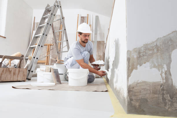 Best Commercial Mold Inspection  in Petersburg, IL