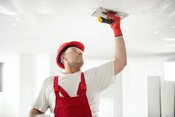 Environmental Consulting for Mold Prevention in Petersburg, IL