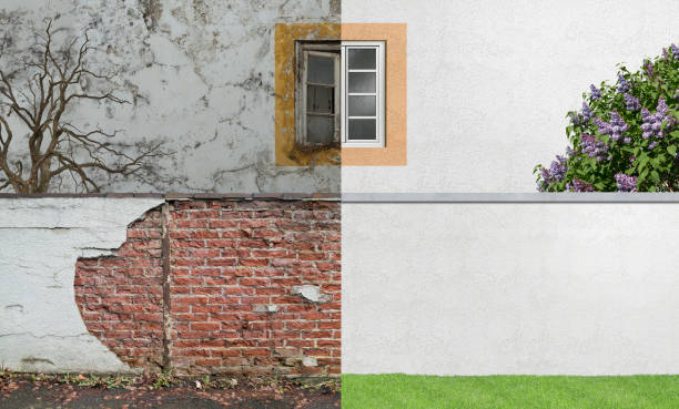 Best Commercial Mold Inspection  in Petersburg, IL