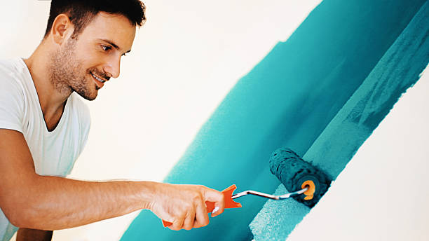 Best Real Estate Mold Inspection  in Petersburg, IL