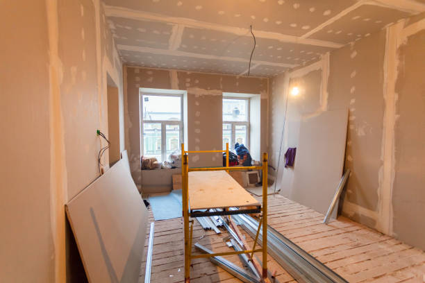  Petersburg, IL Mold Removal Pros